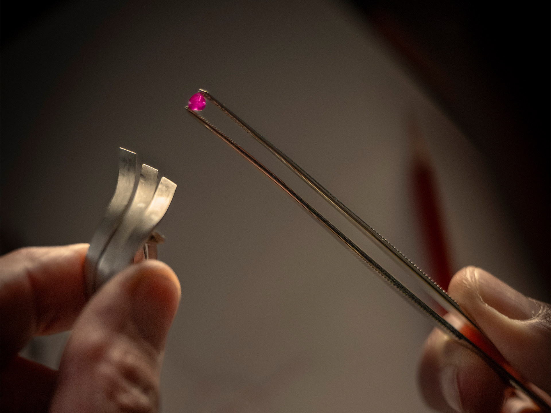 Eine Hand hält Metallzacken, während eine andere eine Pinzette benutzt, um einen kleinen roten Edelstein in den RING TOGETHER von Schullin zu setzen, vor einem verschwommenen Hintergrund.